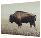 Brutus - Wall Art - Sepia – Wall Decor by Signature Design by Ashley® at Furniture Wholesale Plus , Nashville furniture store