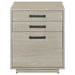 Loomis - 3-Drawer Home Office File Cabinet - Whitewashed Gray – Filing Cabinets by CoasterEssence at Furniture Wholesale Plus , Nashville furniture store