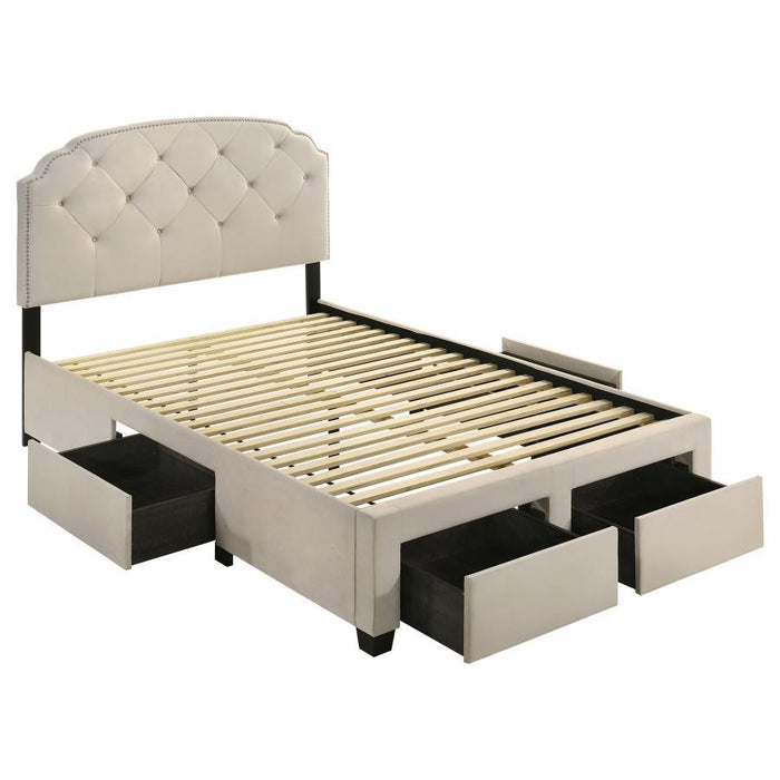 Marianna - 4-Drawer Upholstered Storage Bed – Storage Beds by Coaster Fine Furniture at Furniture Wholesale Plus , Nashville furniture store