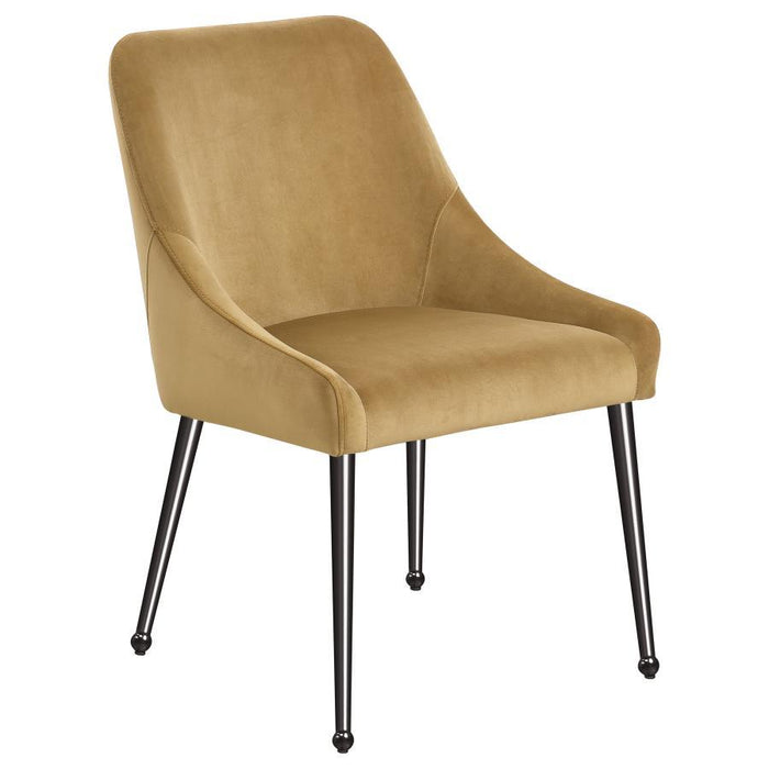 Mayette - Upholstered Dining Side Chair (Set of 2) - Premium Chair Sets from Coaster Fine Furniture - Just $419! Shop now at Furniture Wholesale Plus  We are the best furniture store in Nashville, Hendersonville, Goodlettsville, Madison, Antioch, Mount Juliet, Lebanon, Gallatin, Springfield, Murfreesboro, Franklin, Brentwood