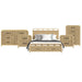 Ridgemont - Storage Bedroom Set – 3 Piece Bedroom Sets by Elements International at Furniture Wholesale Plus , Nashville furniture store