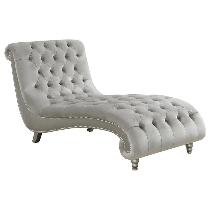 Lydia Tufted Cushion Chaise with Nailhead Trim Grey - Premium Chaise from Coaster Z2 Standard - Just $858! Shop now at Furniture Wholesale Plus  We are the best furniture store in Nashville, Hendersonville, Goodlettsville, Madison, Antioch, Mount Juliet, Lebanon, Gallatin, Springfield, Murfreesboro, Franklin, Brentwood