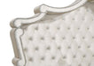 Antonella - Upholstered Panel Bed - Premium Upholstered Beds from CoasterElevations - Just $1149! Shop now at Furniture Wholesale Plus  We are the best furniture store in Nashville, Hendersonville, Goodlettsville, Madison, Antioch, Mount Juliet, Lebanon, Gallatin, Springfield, Murfreesboro, Franklin, Brentwood
