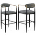 Tina - Metal Pub Height Bar Stool With Upholstered Back And Seat (Set of 2) - Premium Stool Sets from Coaster Fine Furniture - Just $429! Shop now at Furniture Wholesale Plus  We are the best furniture store in Nashville, Hendersonville, Goodlettsville, Madison, Antioch, Mount Juliet, Lebanon, Gallatin, Springfield, Murfreesboro, Franklin, Brentwood
