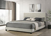 Dorian - Upholstered Panel Bed – Upholstered Beds by CoasterEveryday at Furniture Wholesale Plus , Nashville furniture store
