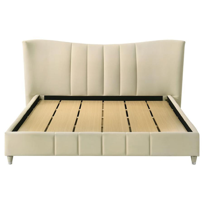 Evelyn - Upholstered Panel Platform Bed – Upholstered Beds by Coaster Fine Furniture at Furniture Wholesale Plus , Nashville furniture store