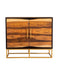 Zara 2-door Accent Cabinet Black Walnut and Gold - Premium Accent Cabinet from Coaster Z2 Standard - Just $738! Shop now at Furniture Wholesale Plus  We are the best furniture store in Nashville, Hendersonville, Goodlettsville, Madison, Antioch, Mount Juliet, Lebanon, Gallatin, Springfield, Murfreesboro, Franklin, Brentwood