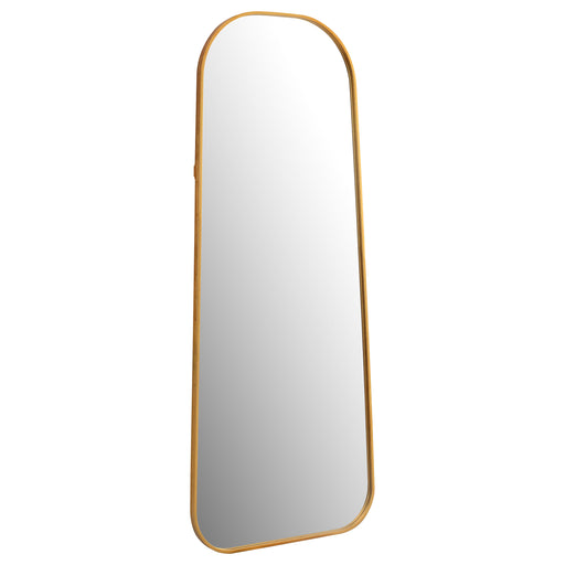 Simeon Metal Frame Full Length 59" Floor Mirror Antique Gold - Premium Mirror from Coaster Z2 Standard - Just $302! Shop now at Furniture Wholesale Plus  We are the best furniture store in Nashville, Hendersonville, Goodlettsville, Madison, Antioch, Mount Juliet, Lebanon, Gallatin, Springfield, Murfreesboro, Franklin, Brentwood