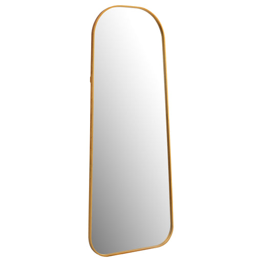 Simeon Metal Frame Full Length 51" Floor Mirror Antique Gold - Premium Mirror from Coaster Z2 Standard - Just $202! Shop now at Furniture Wholesale Plus  We are the best furniture store in Nashville, Hendersonville, Goodlettsville, Madison, Antioch, Mount Juliet, Lebanon, Gallatin, Springfield, Murfreesboro, Franklin, Brentwood