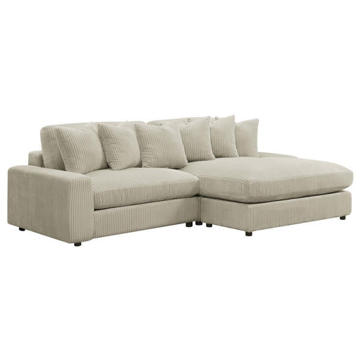 Blaine - Upholstered Reversible Chaise Sectional Sofa - Premium Stationary Sectionals from Coaster Fine Furniture - Just $2009! Shop now at Furniture Wholesale Plus  We are the best furniture store in Nashville, Hendersonville, Goodlettsville, Madison, Antioch, Mount Juliet, Lebanon, Gallatin, Springfield, Murfreesboro, Franklin, Brentwood