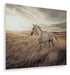Errolville - Wall Art - Multi – Wall Decor by Signature Design by Ashley® at Furniture Wholesale Plus , Nashville furniture store