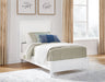 Binterglen - Panel Bed – Panel Beds by Signature Design by Ashley® at Furniture Wholesale Plus , Nashville furniture store