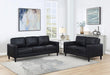 Ruth - Upholstered Track Arm Sofa Set - Premium Stationary Sofas & Loveseats from Coaster Fine Furniture - Just $909! Shop now at Furniture Wholesale Plus  We are the best furniture store in Nashville, Hendersonville, Goodlettsville, Madison, Antioch, Mount Juliet, Lebanon, Gallatin, Springfield, Murfreesboro, Franklin, Brentwood