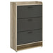 Denia - 3-Tier Engineered Wood Shoe Cabinet – Shoe Cabinets by CoasterEveryday at Furniture Wholesale Plus , Nashville furniture store