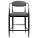 Tina - Metal Counter Height Bar Stool With Upholstered Back And Seat (Set of 2) - Premium Stool Sets from Coaster Fine Furniture - Just $419! Shop now at Furniture Wholesale Plus  We are the best furniture store in Nashville, Hendersonville, Goodlettsville, Madison, Antioch, Mount Juliet, Lebanon, Gallatin, Springfield, Murfreesboro, Franklin, Brentwood