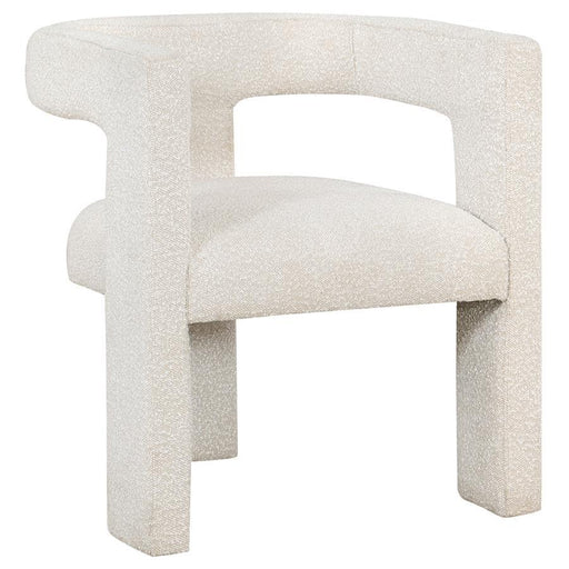 Petra - Boucle Upholstered Accent Side Chair - Premium Side Chairs from Coaster Fine Furniture - Just $299! Shop now at Furniture Wholesale Plus  We are the best furniture store in Nashville, Hendersonville, Goodlettsville, Madison, Antioch, Mount Juliet, Lebanon, Gallatin, Springfield, Murfreesboro, Franklin, Brentwood