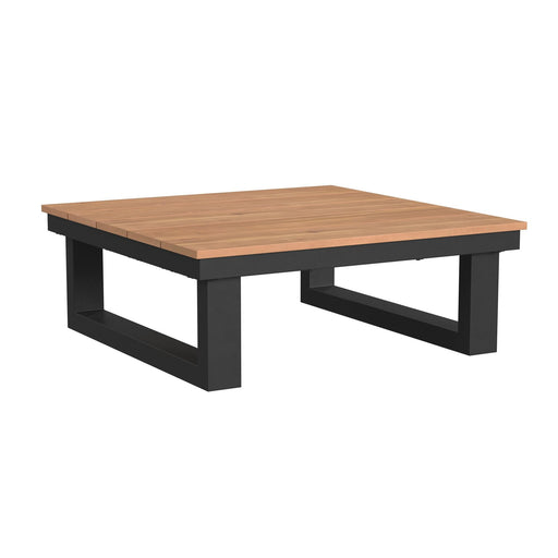 Cabana - Coffee Table - Black – Coffee Tables by Elements International at Furniture Wholesale Plus , Nashville furniture store