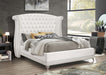 Barzini - Upholstered Wingback Bed – Upholstered Beds by CoasterElevations at Furniture Wholesale Plus , Nashville furniture store