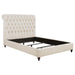 Devon - Upholstered Panel Bed – Upholstered Beds by CoasterEssence at Furniture Wholesale Plus , Nashville furniture store