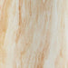 Cammen Vase - Premium Vase from Ashley Furniture - Just $33.76! Shop now at Furniture Wholesale Plus  We are the best furniture store in Nashville, Hendersonville, Goodlettsville, Madison, Antioch, Mount Juliet, Lebanon, Gallatin, Springfield, Murfreesboro, Franklin, Brentwood