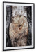 Freyburn Wall Art - Premium Wall Art from Ashley Furniture - Just $99.19! Shop now at Furniture Wholesale Plus  We are the best furniture store in Nashville, Hendersonville, Goodlettsville, Madison, Antioch, Mount Juliet, Lebanon, Gallatin, Springfield, Murfreesboro, Franklin, Brentwood