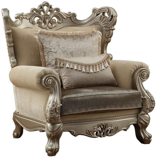 Acme Furniture Ranita Chair in Champagne 51042 - Premium Chair from ACME East - Just $2786.55! Shop now at Furniture Wholesale Plus  We are the best furniture store in Nashville, Hendersonville, Goodlettsville, Madison, Antioch, Mount Juliet, Lebanon, Gallatin, Springfield, Murfreesboro, Franklin, Brentwood