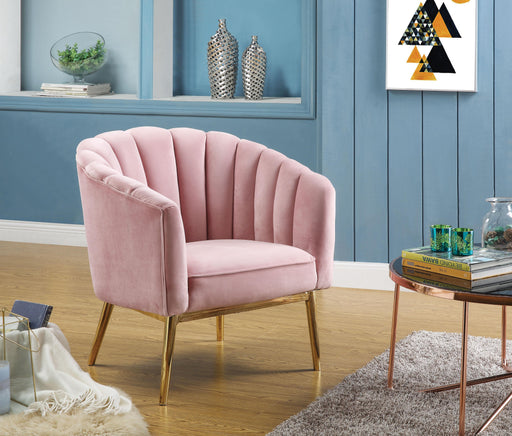 Colla Blush Pink Velvet & Gold Accent Chair - Premium Chair from ACME East - Just $393.90! Shop now at Furniture Wholesale Plus  We are the best furniture store in Nashville, Hendersonville, Goodlettsville, Madison, Antioch, Mount Juliet, Lebanon, Gallatin, Springfield, Murfreesboro, Franklin, Brentwood