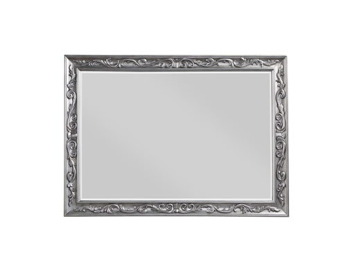 Leonora Vintage Platinum Mirror - Premium Mirror from ACME East - Just $278.85! Shop now at Furniture Wholesale Plus  We are the best furniture store in Nashville, Hendersonville, Goodlettsville, Madison, Antioch, Mount Juliet, Lebanon, Gallatin, Springfield, Murfreesboro, Franklin, Brentwood