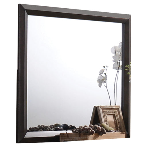 Merveille Espresso Mirror - Premium Mirror from ACME East - Just $146.25! Shop now at Furniture Wholesale Plus  We are the best furniture store in Nashville, Hendersonville, Goodlettsville, Madison, Antioch, Mount Juliet, Lebanon, Gallatin, Springfield, Murfreesboro, Franklin, Brentwood