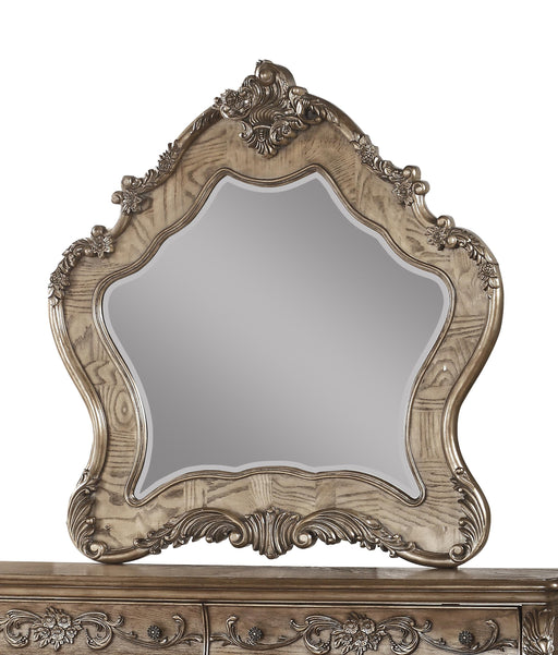 Ragenardus Vintage Oak Mirror - Premium Mirror from ACME East - Just $549.90! Shop now at Furniture Wholesale Plus  We are the best furniture store in Nashville, Hendersonville, Goodlettsville, Madison, Antioch, Mount Juliet, Lebanon, Gallatin, Springfield, Murfreesboro, Franklin, Brentwood