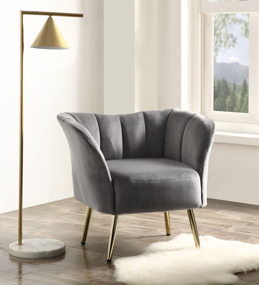 Reese Gray Velvet & Gold Accent Chair - Premium Chair from ACME East - Just $329.55! Shop now at Furniture Wholesale Plus  We are the best furniture store in Nashville, Hendersonville, Goodlettsville, Madison, Antioch, Mount Juliet, Lebanon, Gallatin, Springfield, Murfreesboro, Franklin, Brentwood