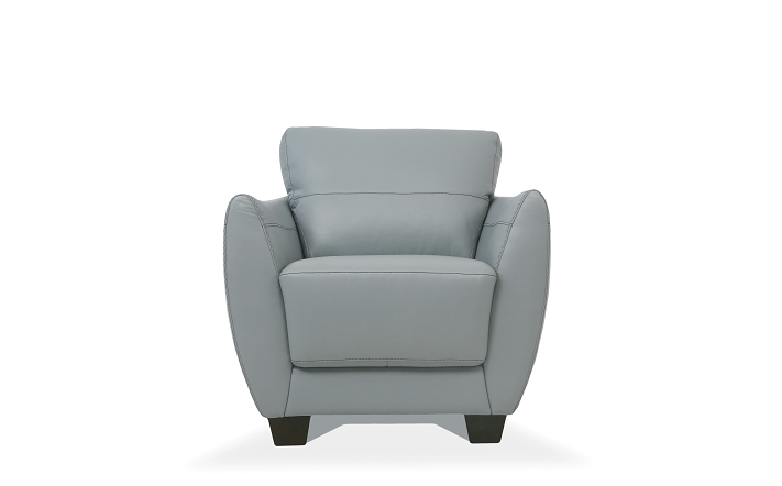 Valeria Watery Leather Chair - Premium Chair from ACME East - Just $1552.20! Shop now at Furniture Wholesale Plus  We are the best furniture store in Nashville, Hendersonville, Goodlettsville, Madison, Antioch, Mount Juliet, Lebanon, Gallatin, Springfield, Murfreesboro, Franklin, Brentwood