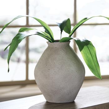 Hannela Vase - Premium Vase from Ashley Furniture - Just $70.83! Shop now at Furniture Wholesale Plus  We are the best furniture store in Nashville, Hendersonville, Goodlettsville, Madison, Antioch, Mount Juliet, Lebanon, Gallatin, Springfield, Murfreesboro, Franklin, Brentwood