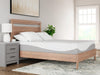 12 Inch Memory Foam Mattress - Premium Mattress from Ashley Furniture - Just $352.42! Shop now at Furniture Wholesale Plus  We are the best furniture store in Nashville, Hendersonville, Goodlettsville, Madison, Antioch, Mount Juliet, Lebanon, Gallatin, Springfield, Murfreesboro, Franklin, Brentwood