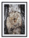 Freyburn Wall Art - Premium Wall Art from Ashley Furniture - Just $102.72! Shop now at Furniture Wholesale Plus  We are the best furniture store in Nashville, Hendersonville, Goodlettsville, Madison, Antioch, Mount Juliet, Lebanon, Gallatin, Springfield, Murfreesboro, Franklin, Brentwood