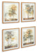 Bryneford Wall Art (Set of 4) - Premium Wall Art from Ashley Furniture - Just $166.28! Shop now at Furniture Wholesale Plus  We are the best furniture store in Nashville, Hendersonville, Goodlettsville, Madison, Antioch, Mount Juliet, Lebanon, Gallatin, Springfield, Murfreesboro, Franklin, Brentwood