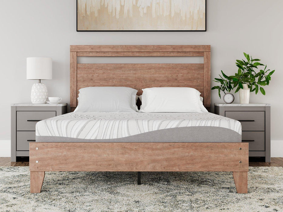 8 Inch Memory Foam Mattress - Premium Mattress from Ashley Furniture - Just $245.57! Shop now at Furniture Wholesale Plus  We are the best furniture store in Nashville, Hendersonville, Goodlettsville, Madison, Antioch, Mount Juliet, Lebanon, Gallatin, Springfield, Murfreesboro, Franklin, Brentwood