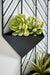 Dashney Wall Planter On Stand - Premium Wall Decor from Ashley Furniture - Just $56.82! Shop now at Furniture Wholesale Plus  We are the best furniture store in Nashville, Hendersonville, Goodlettsville, Madison, Antioch, Mount Juliet, Lebanon, Gallatin, Springfield, Murfreesboro, Franklin, Brentwood