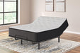 Palisades Plush Mattress - Premium Mattress from Ashley Furniture - Just $440.53! Shop now at Furniture Wholesale Plus  We are the best furniture store in Nashville, Hendersonville, Goodlettsville, Madison, Antioch, Mount Juliet, Lebanon, Gallatin, Springfield, Murfreesboro, Franklin, Brentwood