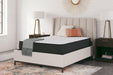 Limited Edition Firm Mattress - Premium Mattress from Ashley Furniture - Just $337.43! Shop now at Furniture Wholesale Plus  We are the best furniture store in Nashville, Hendersonville, Goodlettsville, Madison, Antioch, Mount Juliet, Lebanon, Gallatin, Springfield, Murfreesboro, Franklin, Brentwood