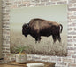 Brutus Wall Art - Premium Wall Art from Ashley Furniture - Just $146.86! Shop now at Furniture Wholesale Plus  We are the best furniture store in Nashville, Hendersonville, Goodlettsville, Madison, Antioch, Mount Juliet, Lebanon, Gallatin, Springfield, Murfreesboro, Franklin, Brentwood