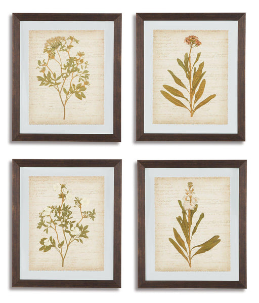 Dyani Wall Art (Set of 4) - Premium Wall Art from Ashley Furniture - Just $146.86! Shop now at Furniture Wholesale Plus  We are the best furniture store in Nashville, Hendersonville, Goodlettsville, Madison, Antioch, Mount Juliet, Lebanon, Gallatin, Springfield, Murfreesboro, Franklin, Brentwood