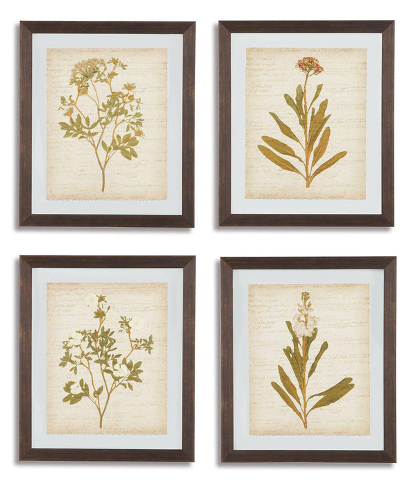 Dyani Wall Art (Set of 4) - Premium Wall Art from Ashley Furniture - Just $146.86! Shop now at Furniture Wholesale Plus  We are the best furniture store in Nashville, Hendersonville, Goodlettsville, Madison, Antioch, Mount Juliet, Lebanon, Gallatin, Springfield, Murfreesboro, Franklin, Brentwood