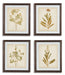 Dyani Wall Art (Set of 4) - Premium Wall Art from Ashley Furniture - Just $146.86! Shop now at Furniture Wholesale Plus  We are the best furniture store in Nashville, Hendersonville, Goodlettsville, Madison, Antioch, Mount Juliet, Lebanon, Gallatin, Springfield, Murfreesboro, Franklin, Brentwood