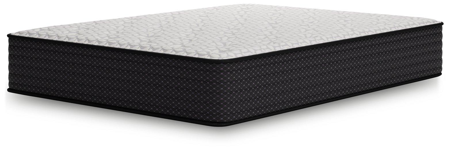 Limited Edition Plush Mattress - Premium Mattress from Ashley Furniture - Just $337.43! Shop now at Furniture Wholesale Plus  We are the best furniture store in Nashville, Hendersonville, Goodlettsville, Madison, Antioch, Mount Juliet, Lebanon, Gallatin, Springfield, Murfreesboro, Franklin, Brentwood