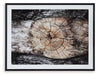 Freyburn Wall Art - Premium Wall Art from Ashley Furniture - Just $102.72! Shop now at Furniture Wholesale Plus  We are the best furniture store in Nashville, Hendersonville, Goodlettsville, Madison, Antioch, Mount Juliet, Lebanon, Gallatin, Springfield, Murfreesboro, Franklin, Brentwood