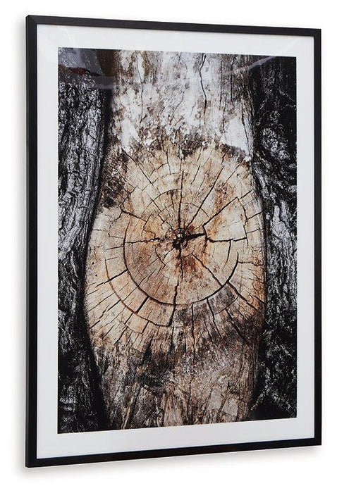 Freyburn Wall Art - Premium Wall Art from Ashley Furniture - Just $102.72! Shop now at Furniture Wholesale Plus  We are the best furniture store in Nashville, Hendersonville, Goodlettsville, Madison, Antioch, Mount Juliet, Lebanon, Gallatin, Springfield, Murfreesboro, Franklin, Brentwood