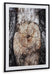 Freyburn Wall Art - Premium Wall Art from Ashley Furniture - Just $102.72! Shop now at Furniture Wholesale Plus  We are the best furniture store in Nashville, Hendersonville, Goodlettsville, Madison, Antioch, Mount Juliet, Lebanon, Gallatin, Springfield, Murfreesboro, Franklin, Brentwood