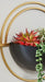 Tobins Wall Planter (Set of 3) - Premium Wall Decor from Ashley Furniture - Just $74.47! Shop now at Furniture Wholesale Plus  We are the best furniture store in Nashville, Hendersonville, Goodlettsville, Madison, Antioch, Mount Juliet, Lebanon, Gallatin, Springfield, Murfreesboro, Franklin, Brentwood