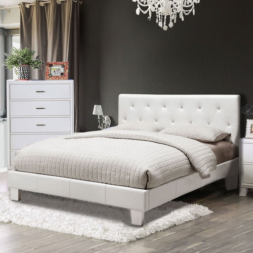 Velen White Cal.King Bed - Premium Bed from FOA East - Just $351! Shop now at Furniture Wholesale Plus  We are the best furniture store in Nashville, Hendersonville, Goodlettsville, Madison, Antioch, Mount Juliet, Lebanon, Gallatin, Springfield, Murfreesboro, Franklin, Brentwood
